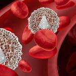 Das Immunsystem im Human Design