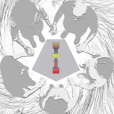 Penta: Die stille Macht hinter Familie, Business und Gesellschaft