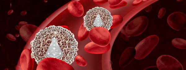 Das Immunsystem im Human Design